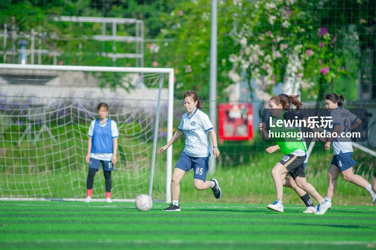Lewin乐玩金融行业案例
