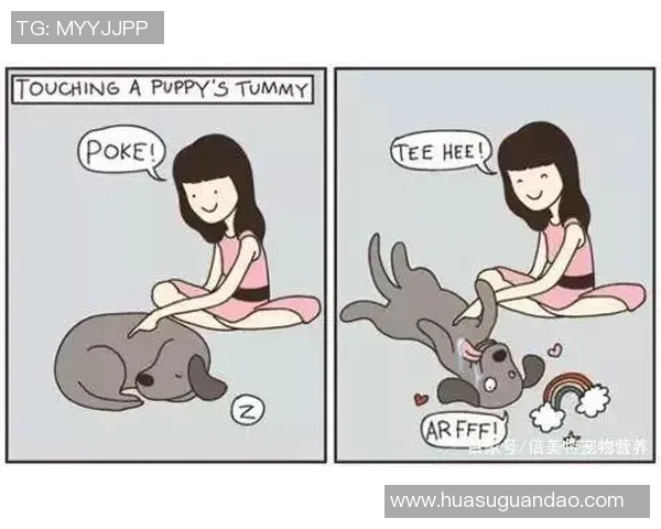 有哪些足球球星喜欢养猫以及他们与猫的有趣故事 有哪些足球球星喜欢养猫以及他们与猫的有趣故事