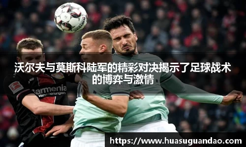 三亿体育官网入口