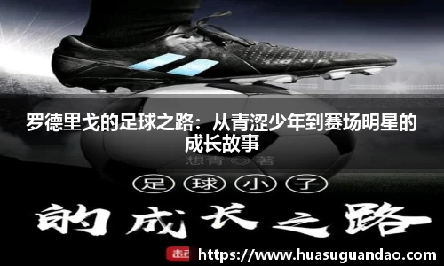 三亿体育登录入口